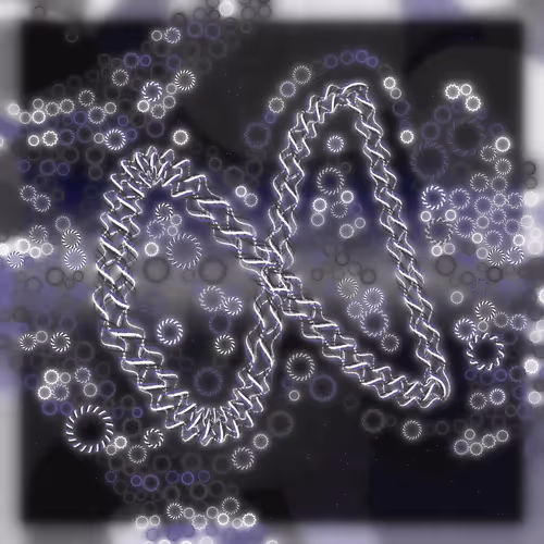 Friendship Bracelets By Alexis Andre
