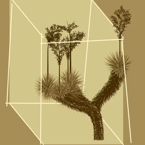 Marfa Yucca #136