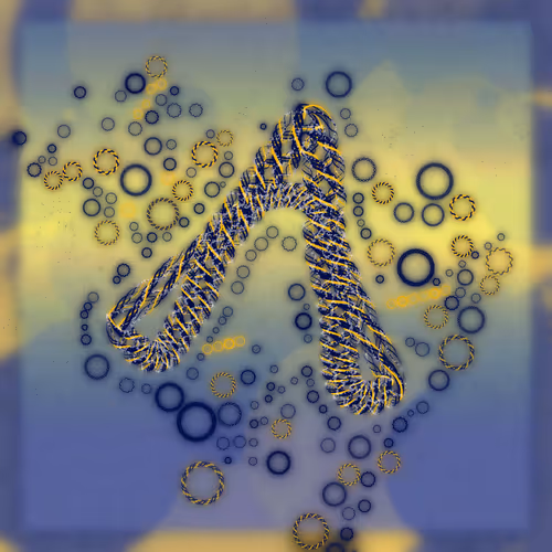 Friendship Bracelets By Alexis Andre