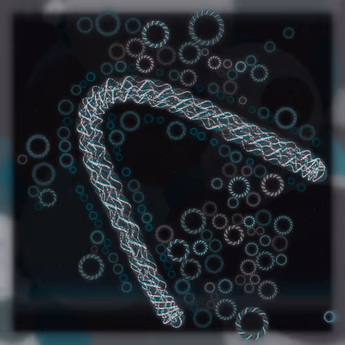 Friendship Bracelets By Alexis Andre