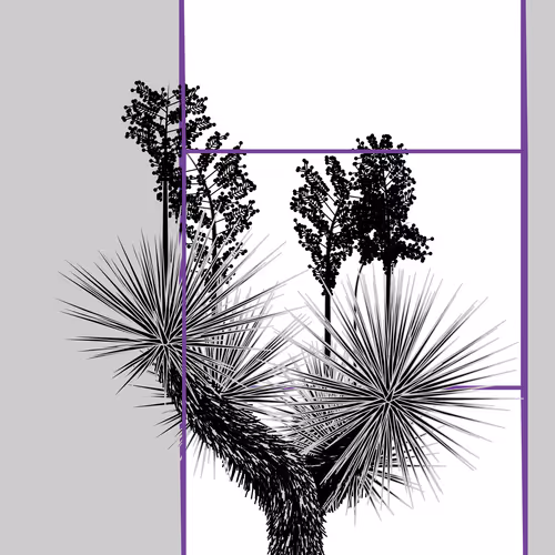 Marfa Yucca By Daniel Calderon Arenas