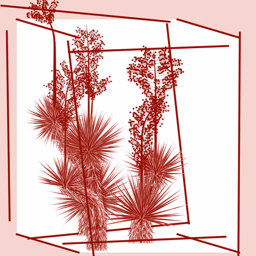 Marfa Yucca #174