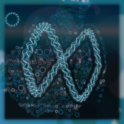 Friendship Bracelets By Alexis Andre