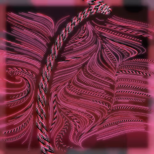 Friendship Bracelets By Alexis Andre