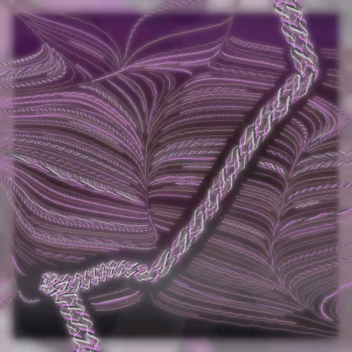 Friendship Bracelets By Alexis Andre