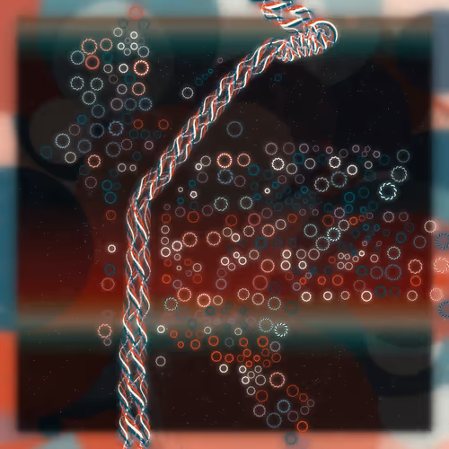 Friendship Bracelets By Alexis Andre