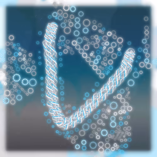 Friendship Bracelets By Alexis Andre