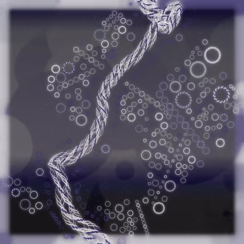 Friendship Bracelets By Alexis Andre