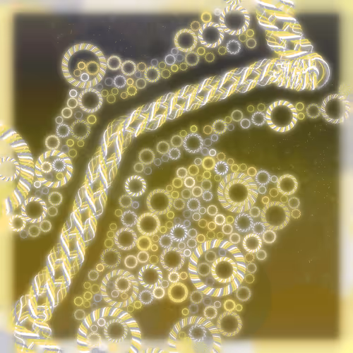 Friendship Bracelets By Alexis Andre