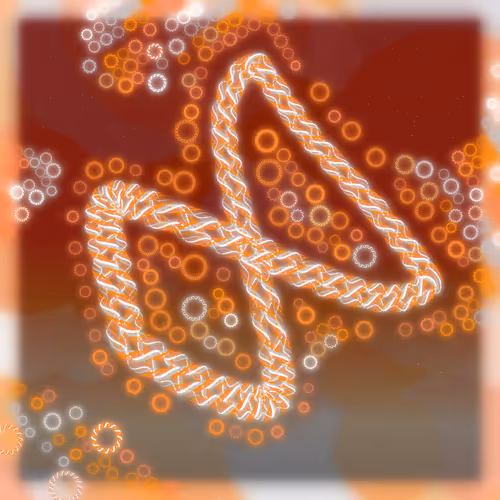 Friendship Bracelets By Alexis Andre