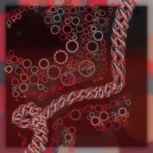Friendship Bracelets By Alexis Andre