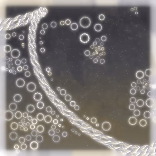 Friendship Bracelets By Alexis Andre
