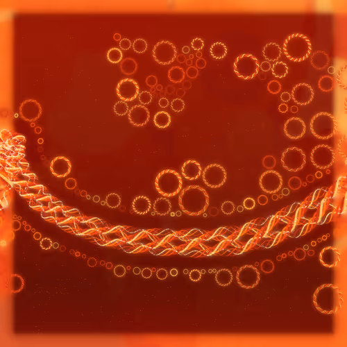 Friendship Bracelets By Alexis Andre