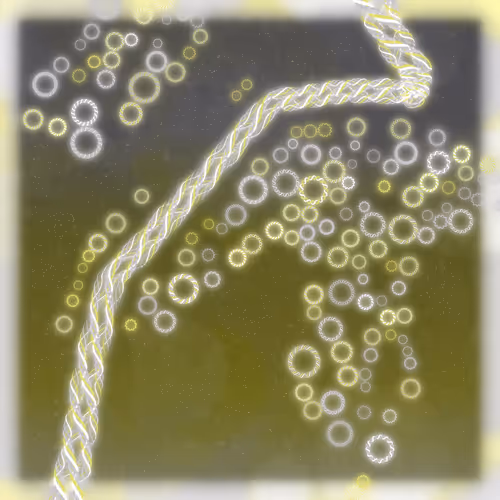 Friendship Bracelets By Alexis Andre