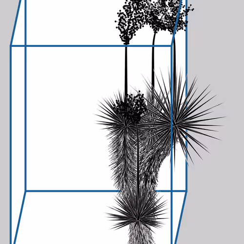 Marfa Yucca By Daniel Calderon Arenas