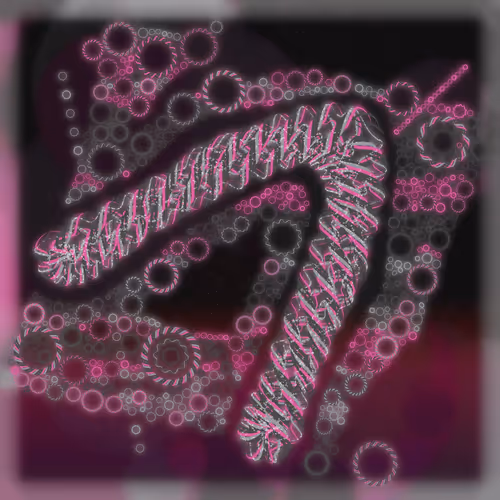 Friendship Bracelets By Alexis Andre