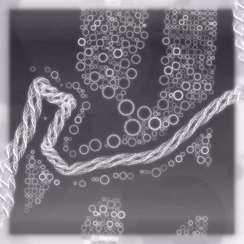 Friendship Bracelets By Alexis Andre