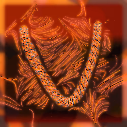 Friendship Bracelets By Alexis Andre