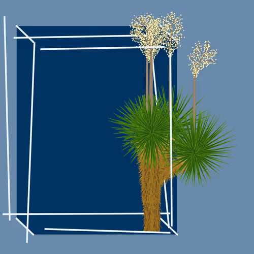 Marfa Yucca By Daniel Calderon Arenas