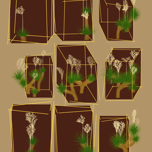 Marfa Yucca By Daniel Calderon Arenas