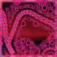 31235