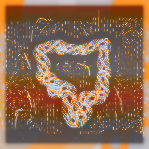 Friendship Bracelets By Alexis Andre