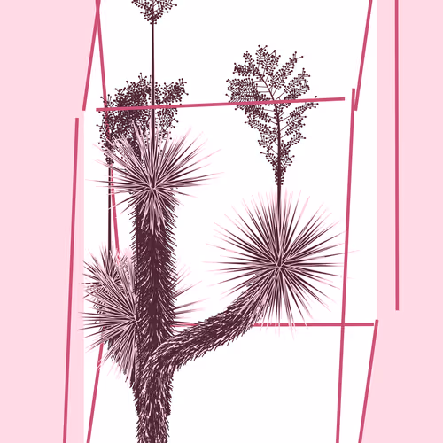 Marfa Yucca #28