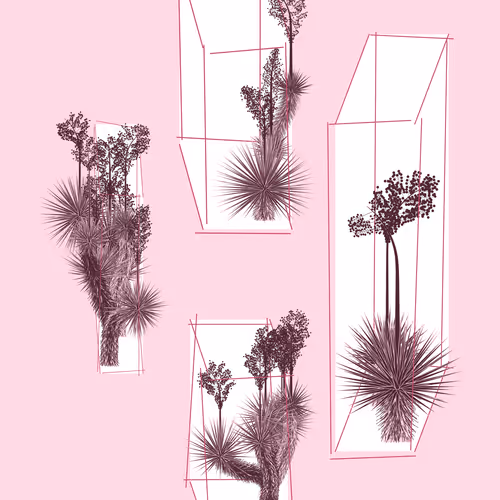Marfa Yucca By Daniel Calderon Arenas