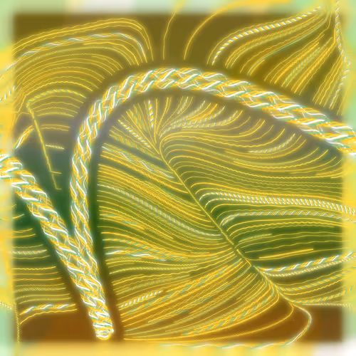 Friendship Bracelets By Alexis Andre