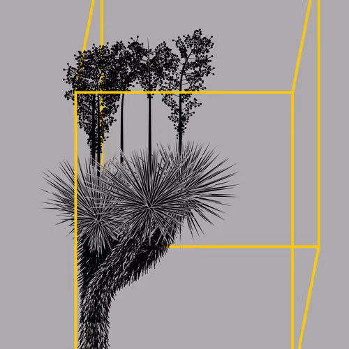 Marfa Yucca By Daniel Calderon Arenas