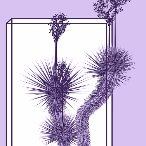 Marfa Yucca #148