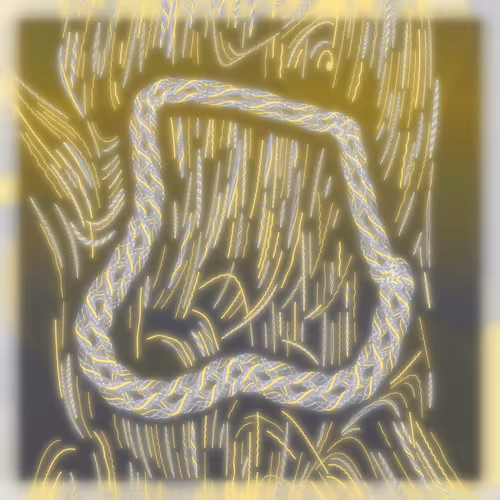 Friendship Bracelets By Alexis Andre