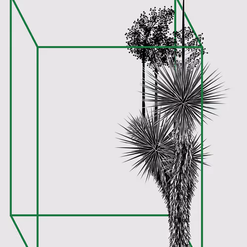 Marfa Yucca By Daniel Calderon Arenas