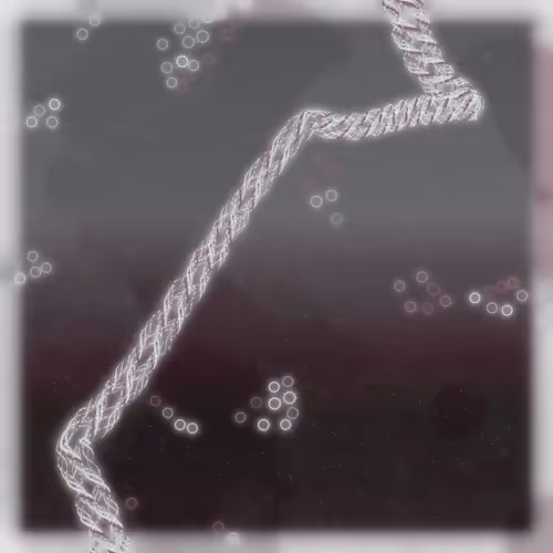 Friendship Bracelets By Alexis Andre