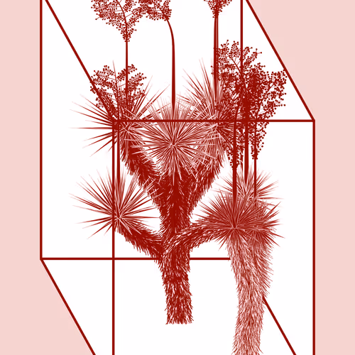 Marfa Yucca #328