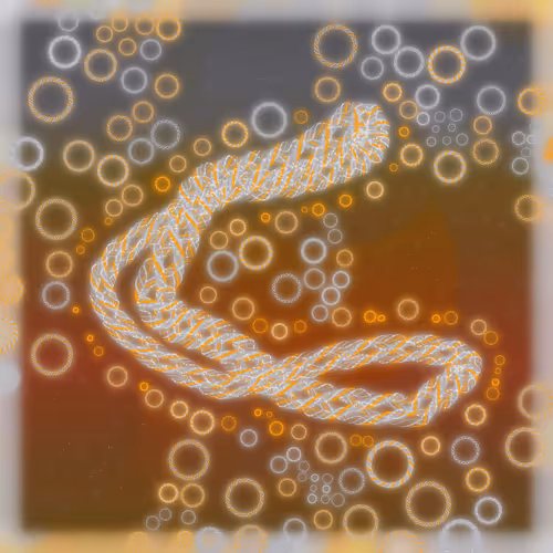 Friendship Bracelets By Alexis Andre