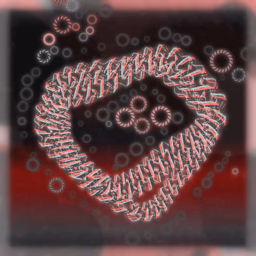 Friendship Bracelets By Alexis Andre