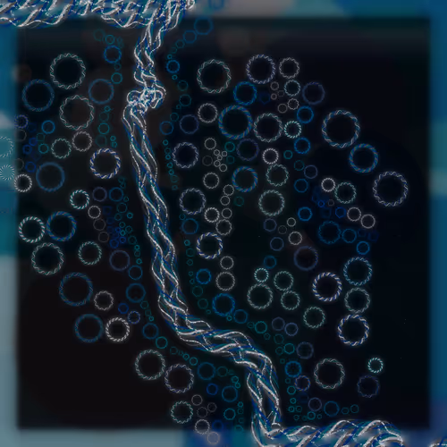 Friendship Bracelets By Alexis Andre