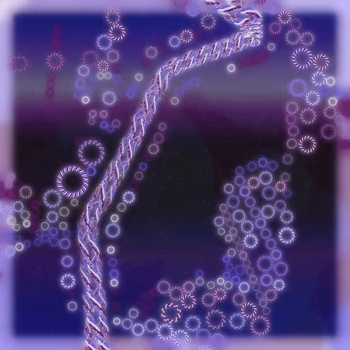 Friendship Bracelets By Alexis Andre