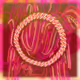 Friendship Bracelets #17254