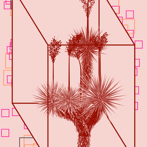 Marfa Yucca By Daniel Calderon Arenas