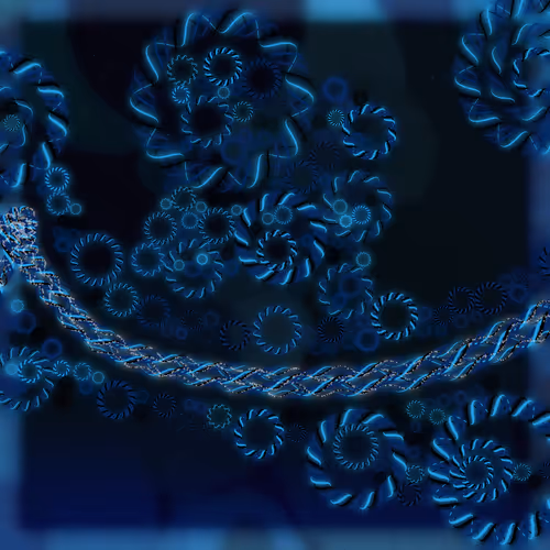 Friendship Bracelets By Alexis Andre