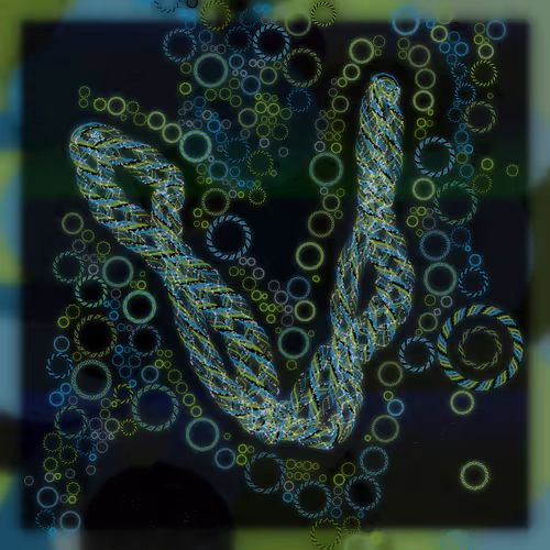 Friendship Bracelets By Alexis Andre
