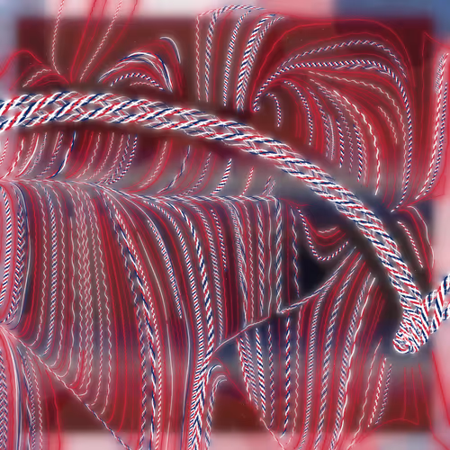Friendship Bracelets By Alexis Andre