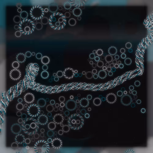 Friendship Bracelets By Alexis Andre