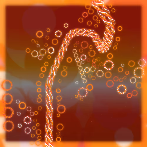 Friendship Bracelets By Alexis Andre