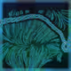 29810