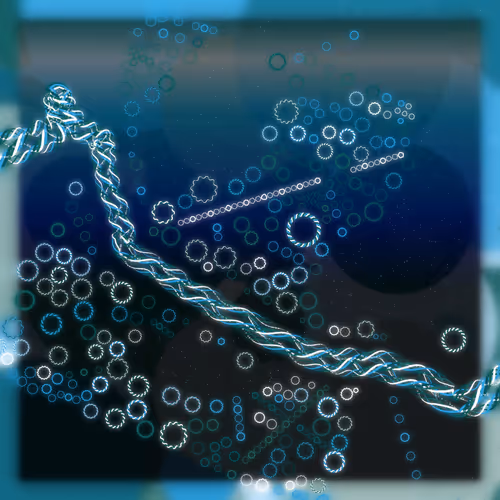 Friendship Bracelets By Alexis Andre