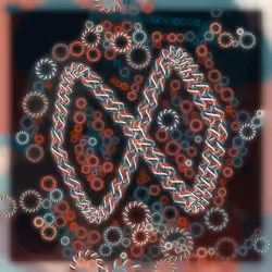 Friendship Bracelets #34720