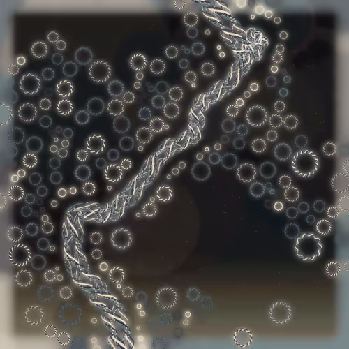 Friendship Bracelets By Alexis Andre